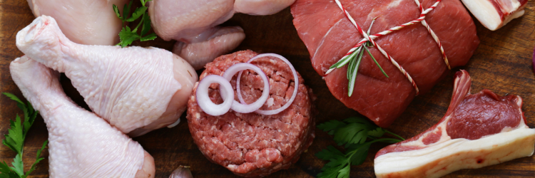 dieta carnivore